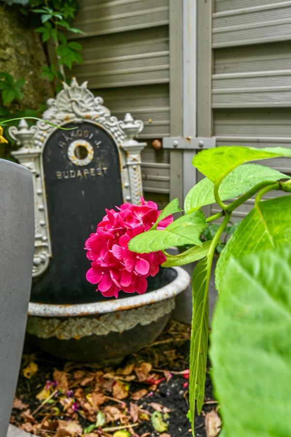 Buda Bliss Garden ブダペスト エクステリア 写真