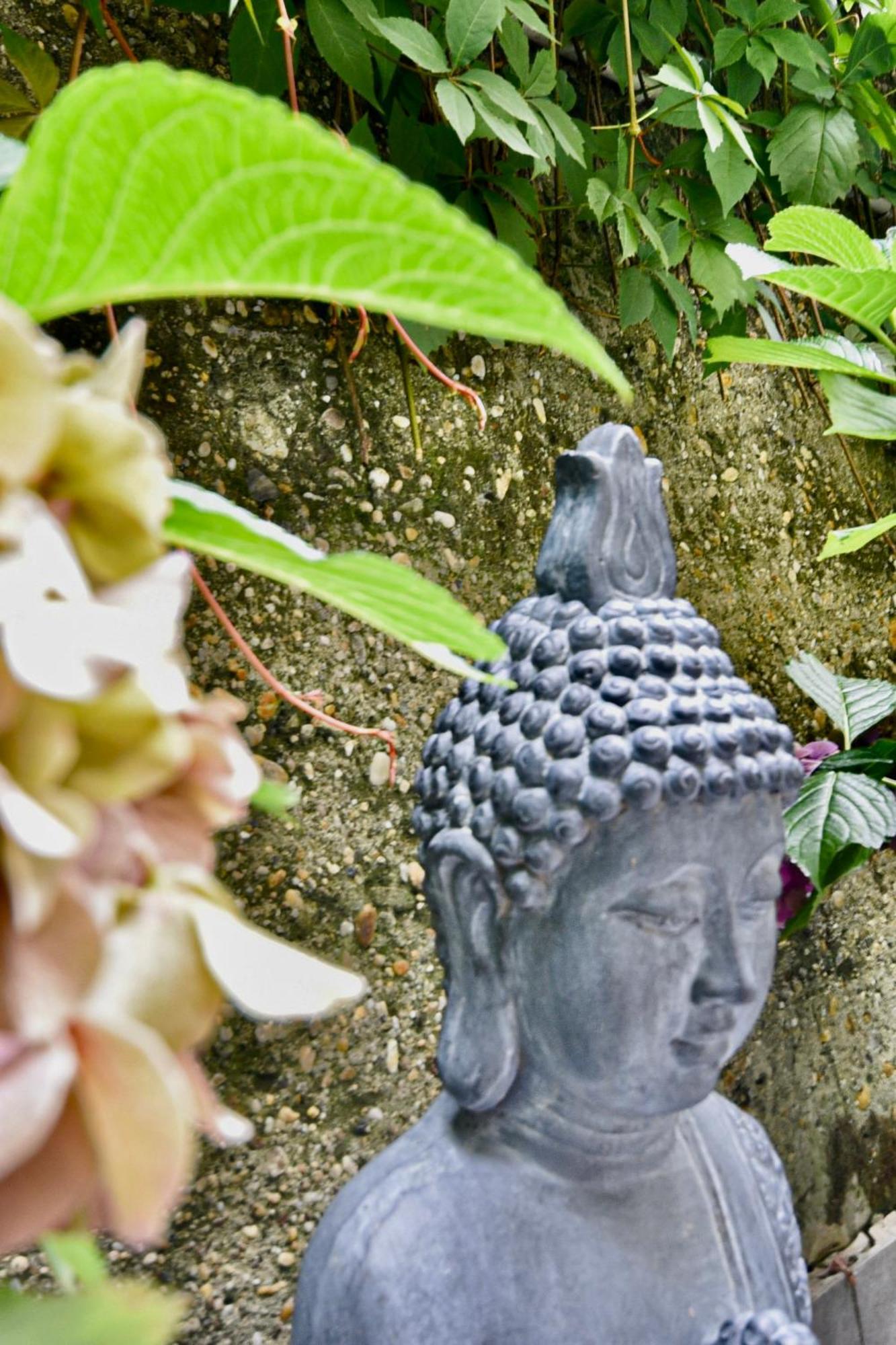 Buda Bliss Garden ブダペスト エクステリア 写真
